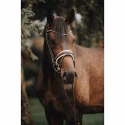 Finesse Träns bridle brun/beige