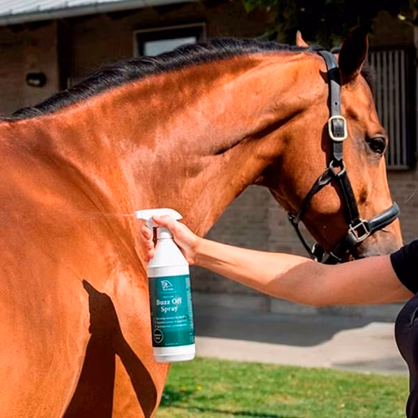 Blue Hors care buzz Spray