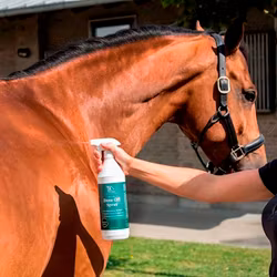 Blue Hors care buzz Spray
