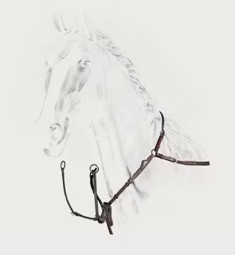 Equiline Förbygel