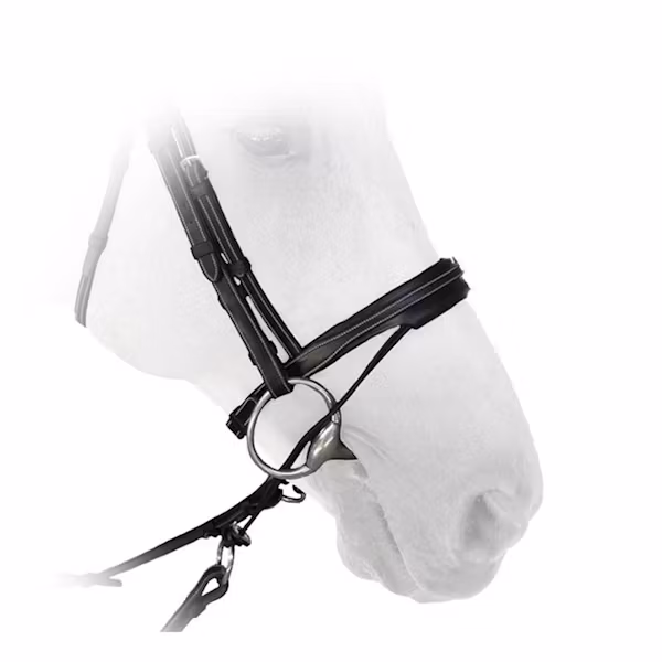 Silver Crown Valla bridle träns full