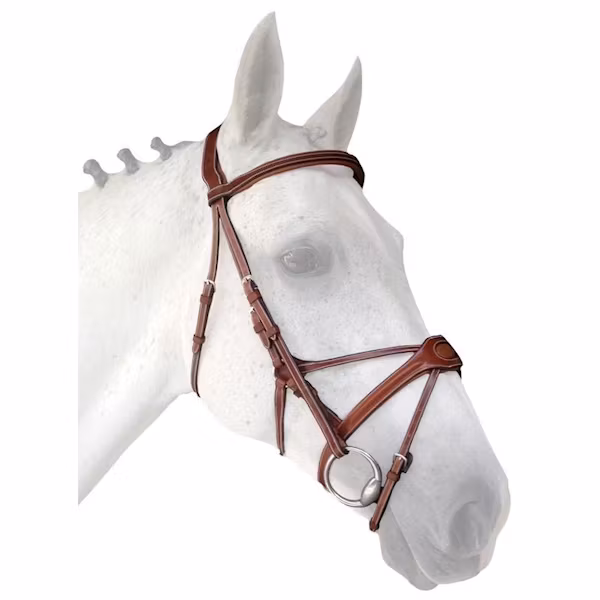 Silver Crown bridle träns Spider full
