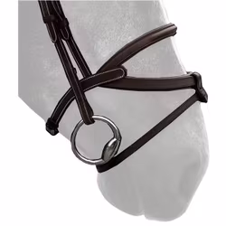 Silver Crown bridle träns brazilian full