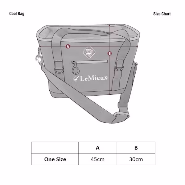 Lemieux Cooling travel bag