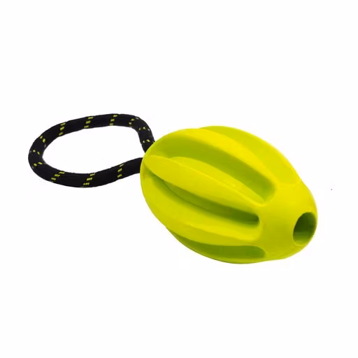 OllyDog Dart Rubber Throw Toy Lime