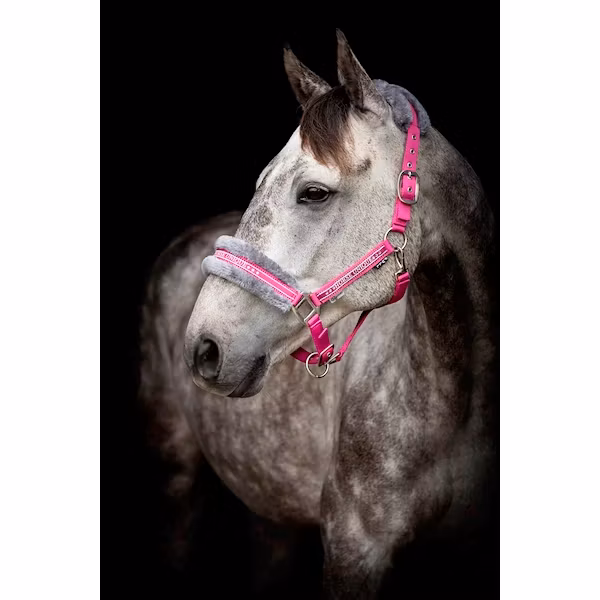 Grimma Horse Unique cerise