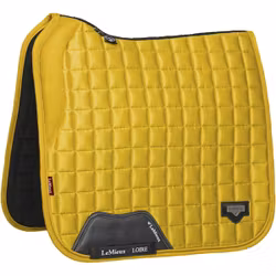 Lemieux Loire Dressyr Dijon full