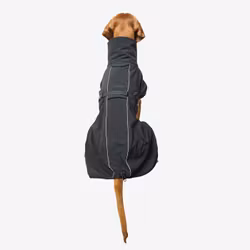 Back on Track Bark svart