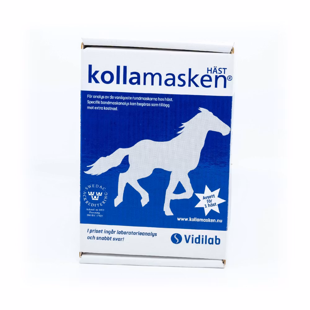 Kollamasken 1 häst