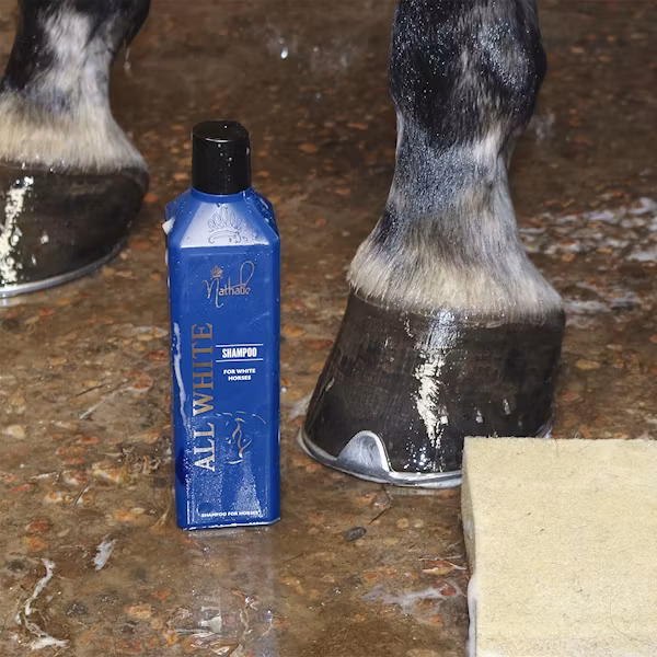 Nathalie Deep Cleansing/Iodine shampoo