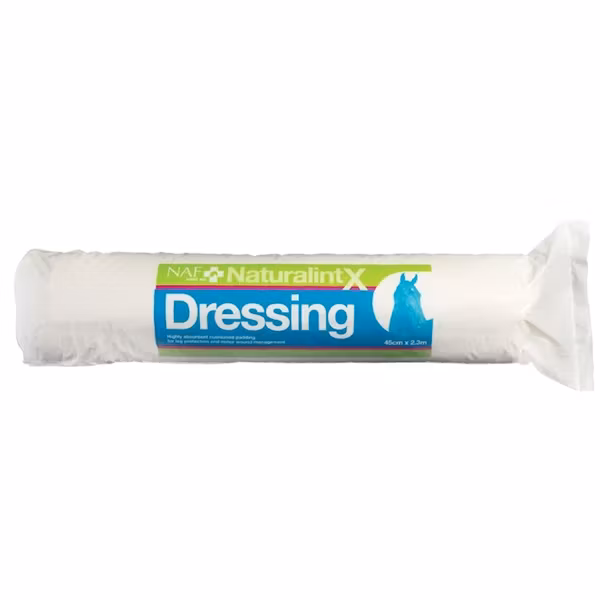 Naturalintx dressing 500G