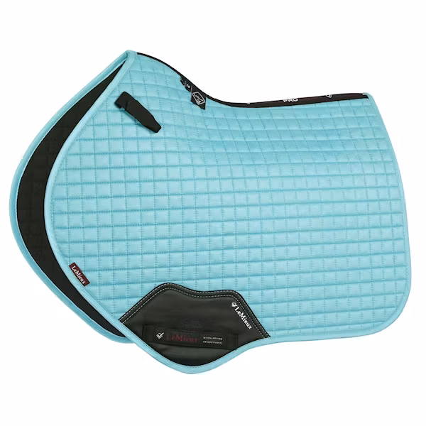 Lemieux Suede Square  dressy/hopp azure full