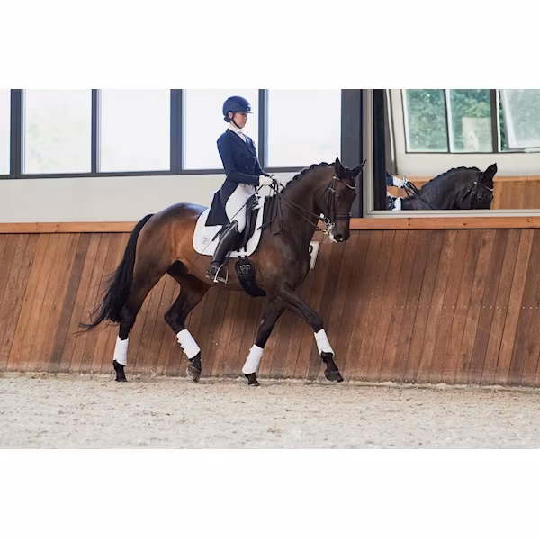 Eskadron softshell tendon boots vit