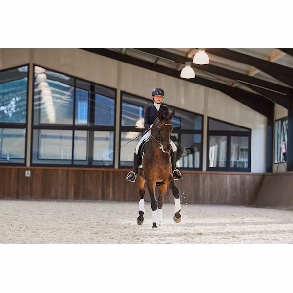Eskadron softshell tendon boots vit