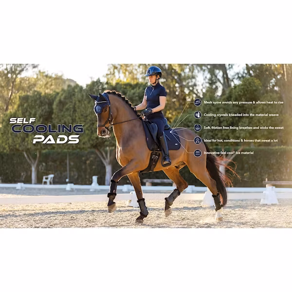 Lemieux Self Cool Square jump navy