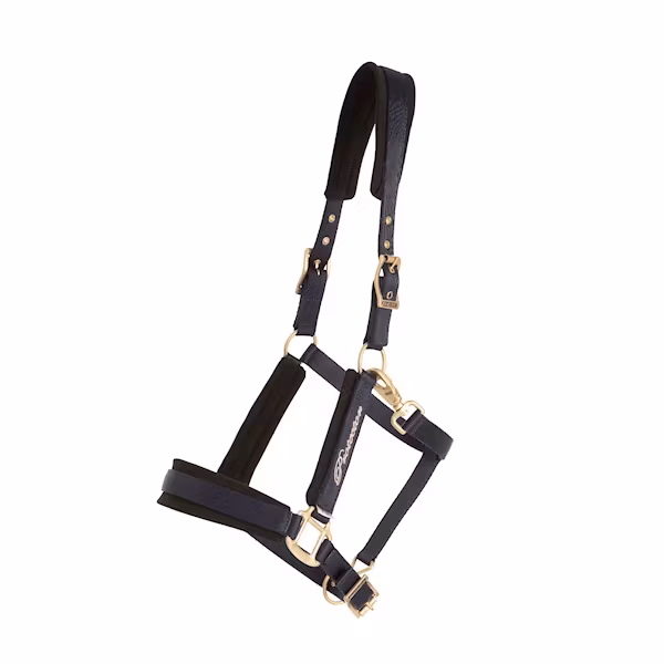 Protector Comfort grimma navy