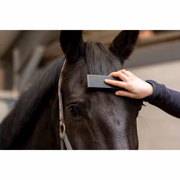 Excellent Horse Grooming Brush svart