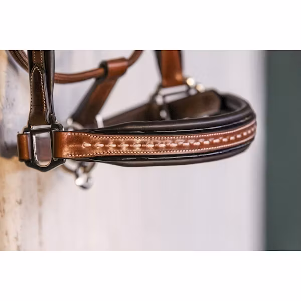 Penelope Leather grimma brun & svart full