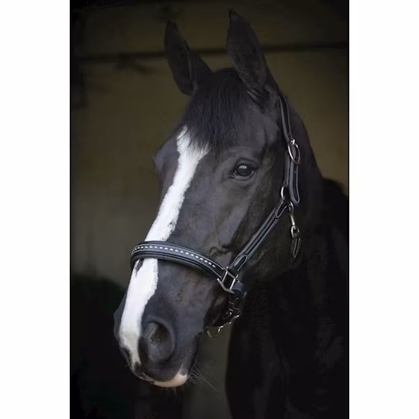 Penelope Leather grimma brun & svart full