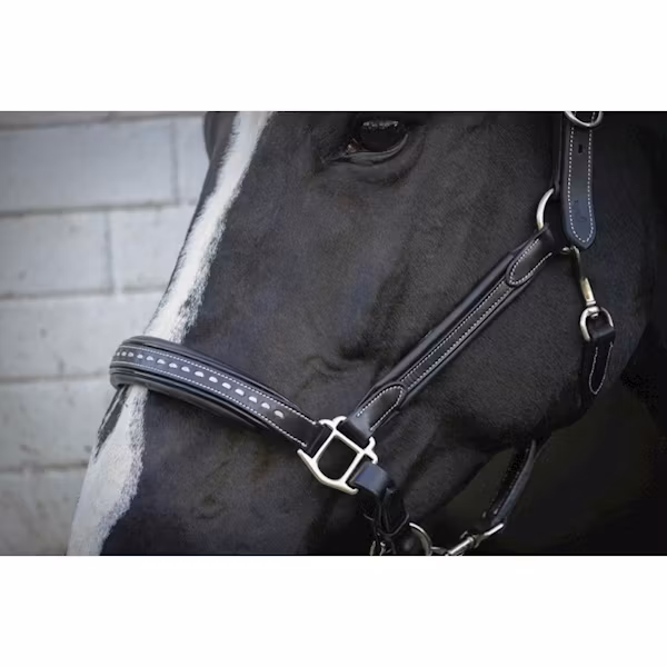 Penelope Leather grimma brun & svart full