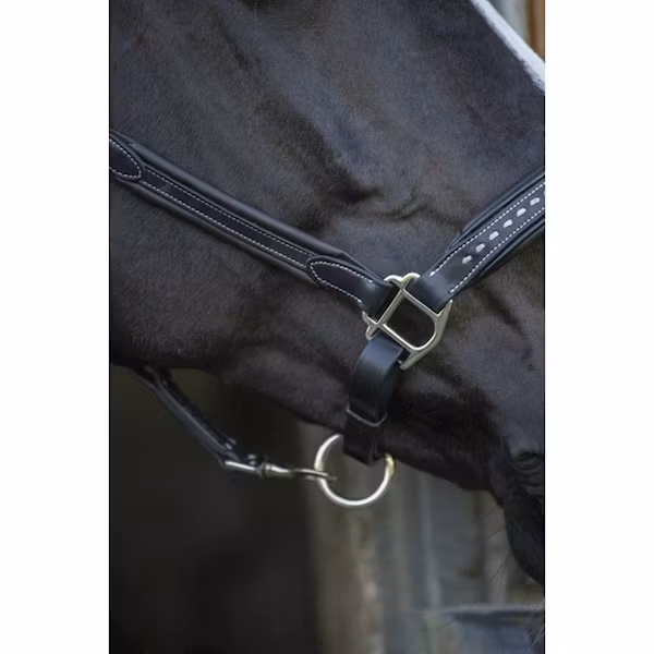 Penelope Leather grimma brun & svart full