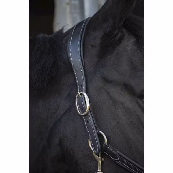 Penelope Leather grimma brun & svart full