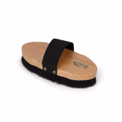 EZI-GROOM Premium ryktborste