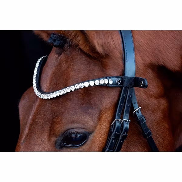 Schockemöhle Siena pannband black/silk full