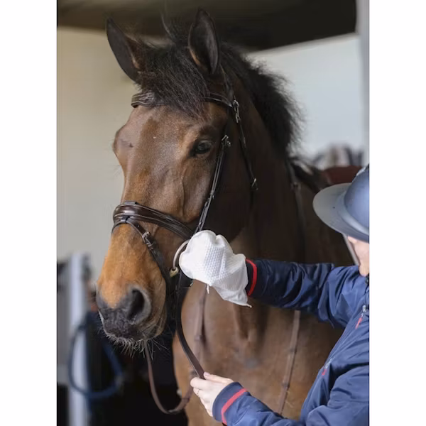 Carr & Day & Martin Belvoir tack cleaner mitt
