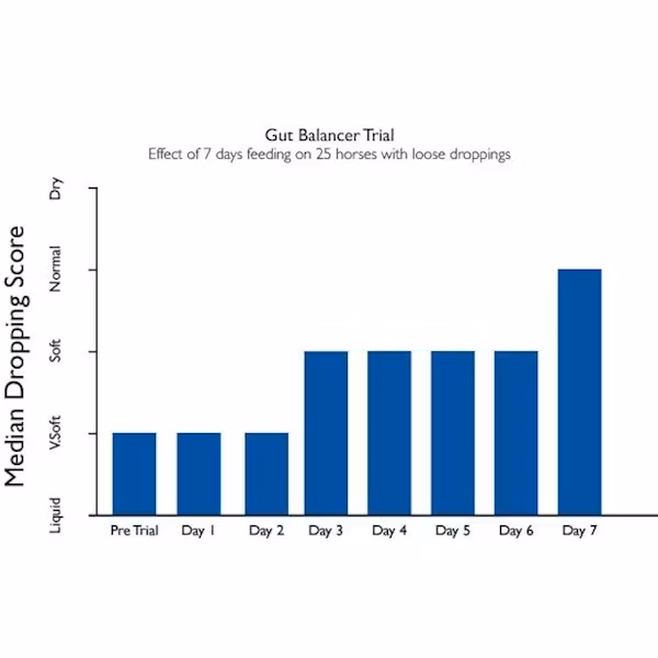 Science Gut Balancer Express - Magtillskott 0,588g