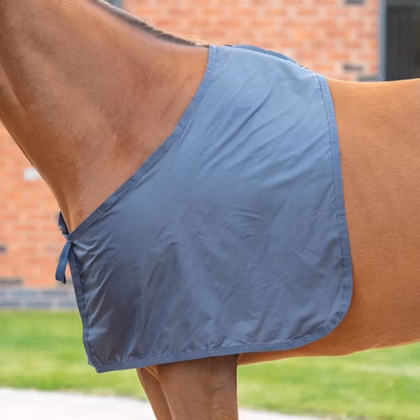 Shires bogskydd navy