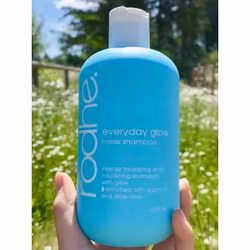 Rodhe everyday glow shampoo 500ml