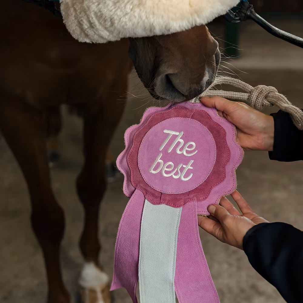 Hansbo Hästleksak Prisrosett rosa i mocka.