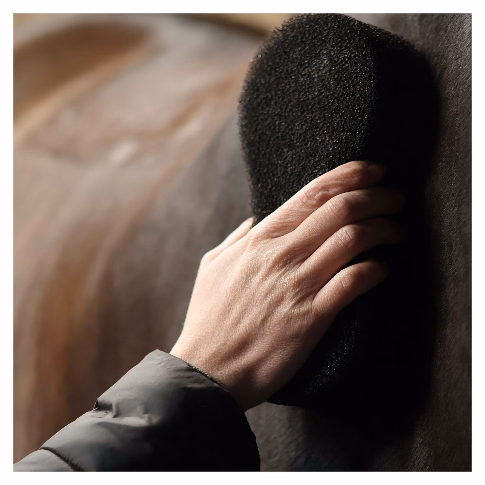 Lami-cell Shine scrubber spong