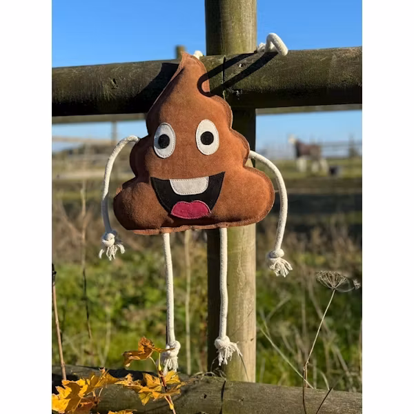 Sc Emoji  toy  Poo