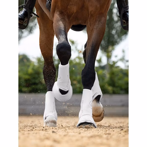 Lemieux Motionflex Dressage Boot vit