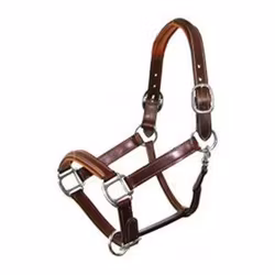 Antarès grimma svart full