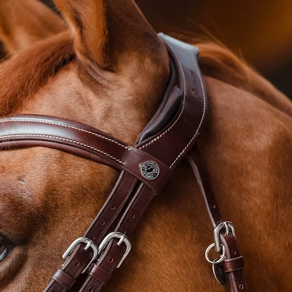 Antares Signature Sport träns med Aachennosgrimma brun full