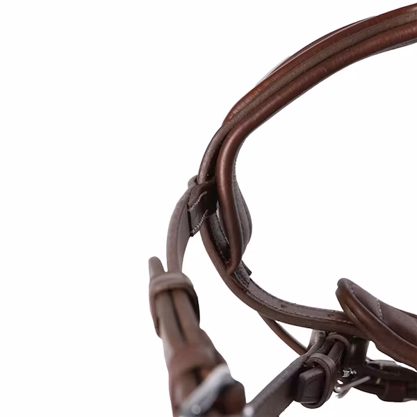 Antares Signature Sport träns med Aachennosgrimma brun full