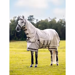 Lemieux Kudos Show Pro Sweet its rug stone