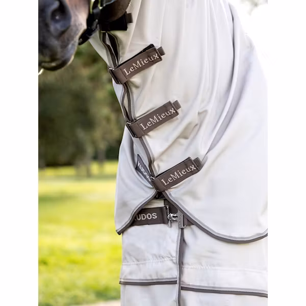 Lemieux Kudos Show Pro Sweet its rug stone