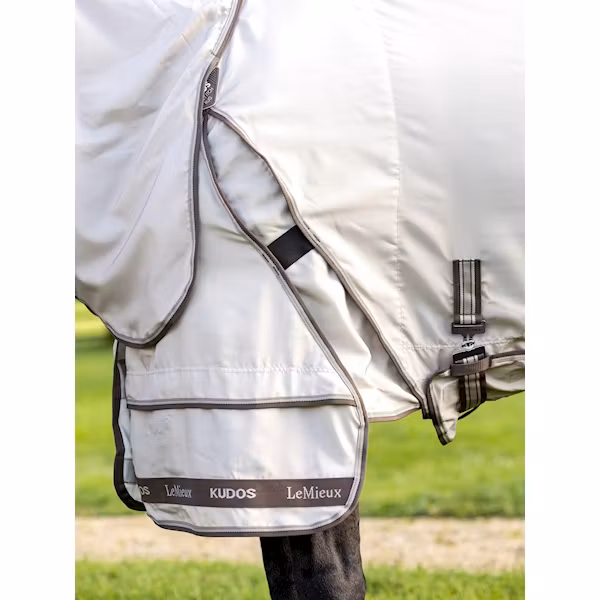 Lemieux Kudos Show Pro Sweet its rug stone