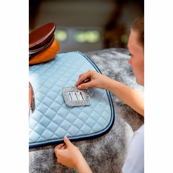 HG Tävlingsnummer silver