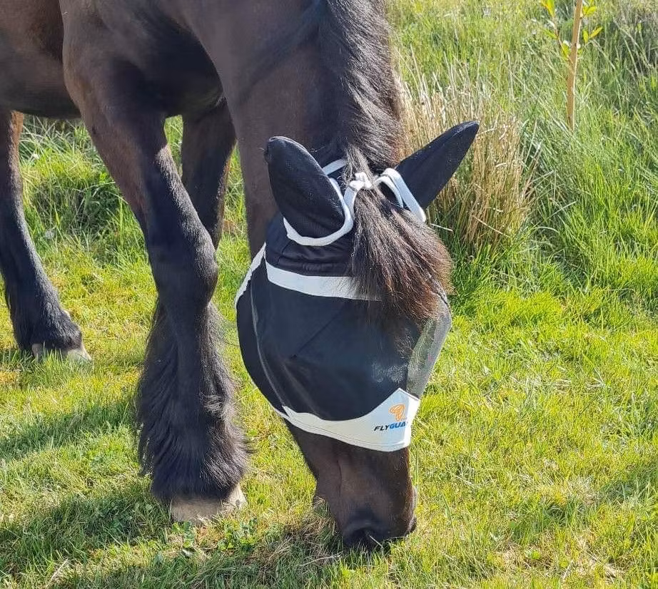 FlyGuard Flughuva med Öron och Pannluggshål, Black/Grey Full