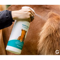 Happy Skin Spray 500ml