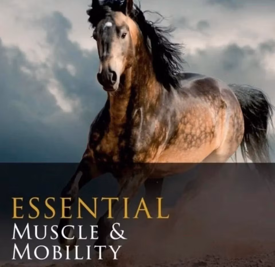 EquVici Muscle & Mobility 8kg