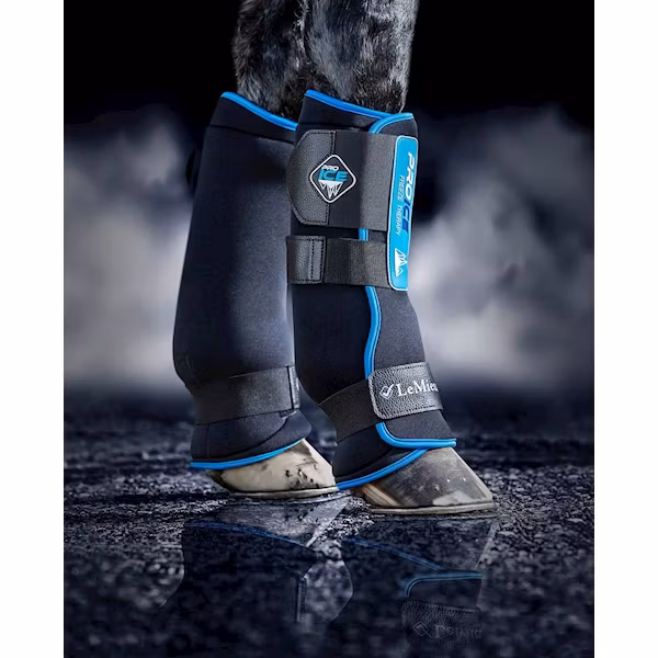 Lemieux Proice Freeze Boots
