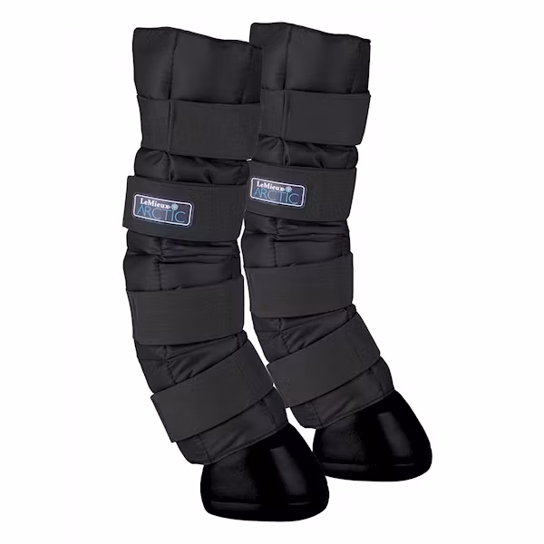 Lemieux Arctic ice boots svart