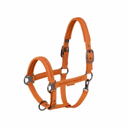 Eskadron grimma konstläder amber
