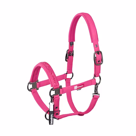 Eskadron grimma rosa ponny